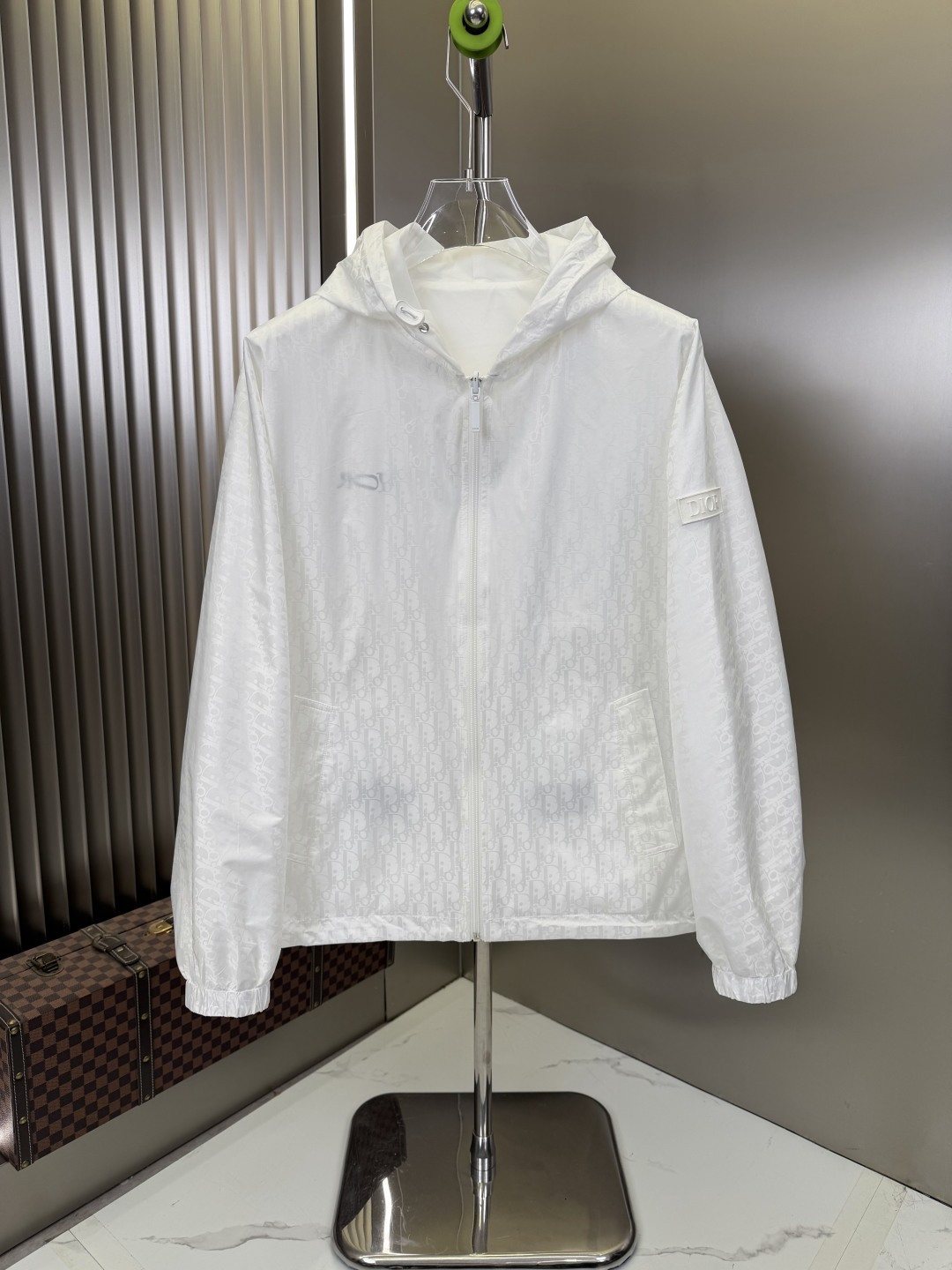 Dior Minimal Hooded Zip Jacket — front