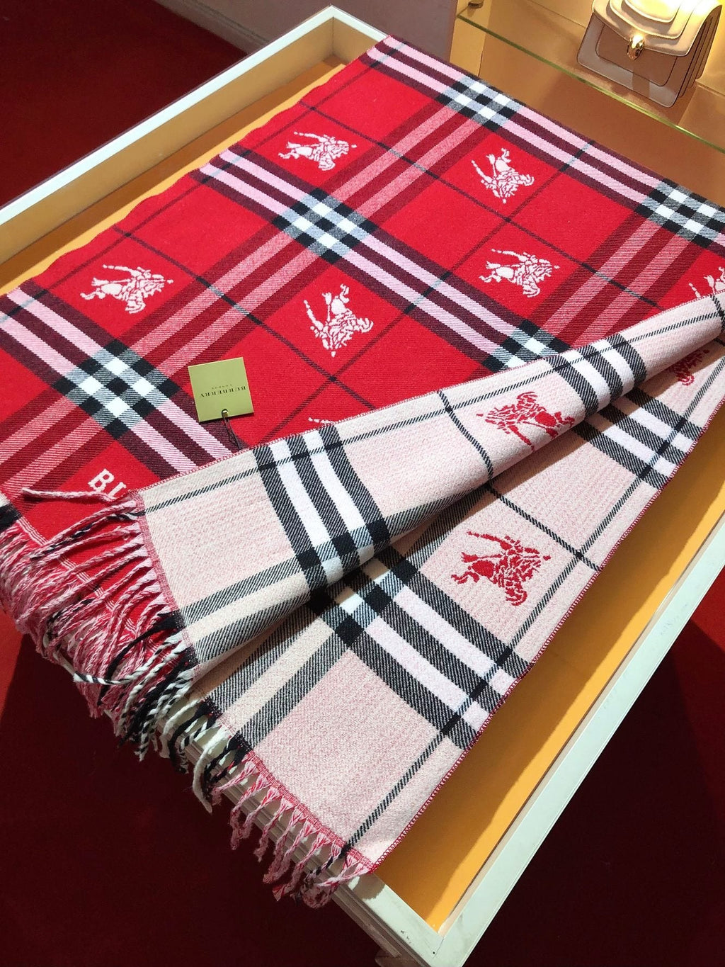 Burberry Embroidered Plaid Fringe Scarf — detail