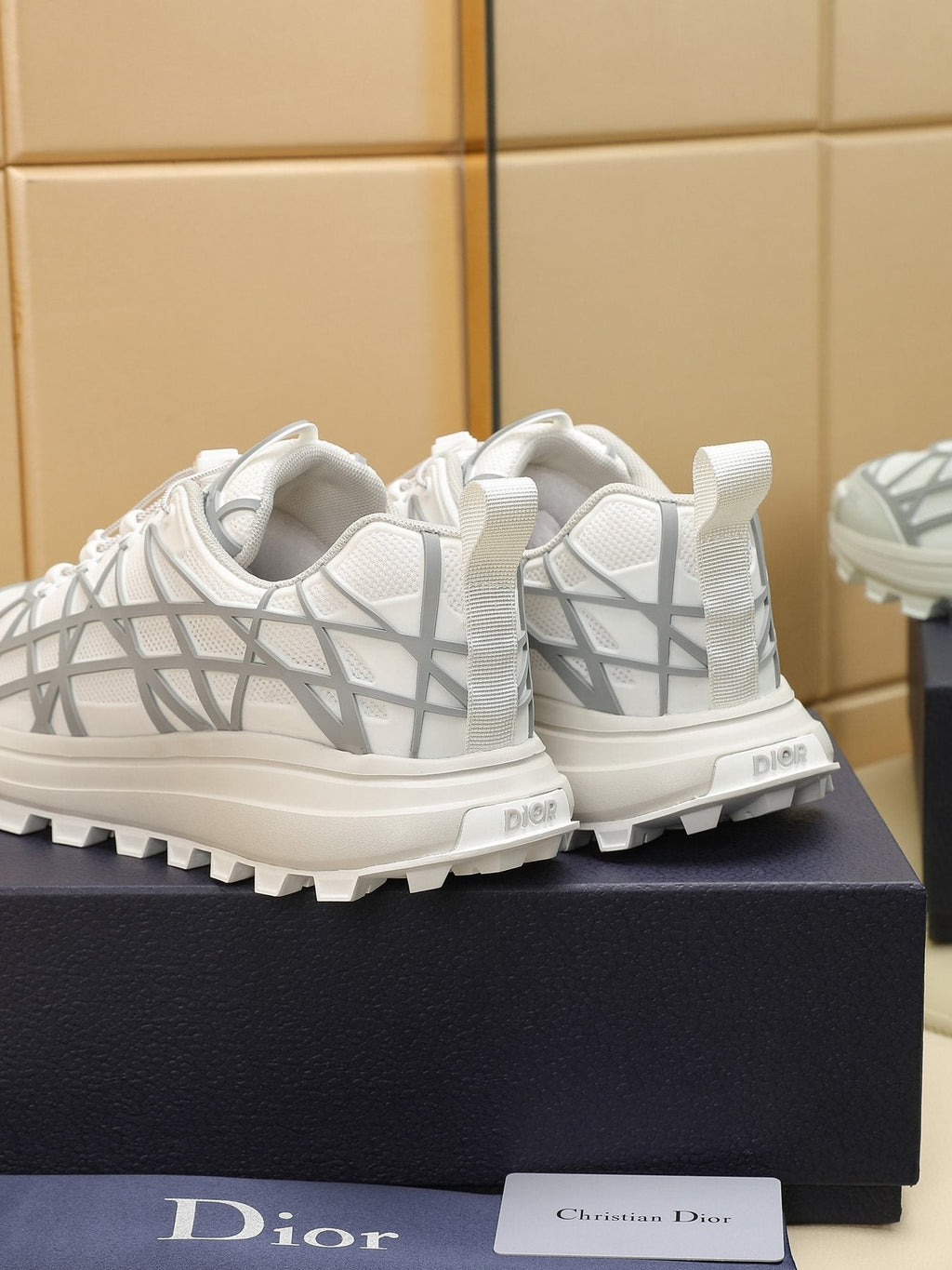 Dior B31 Runner White and Light Gray Sneakers — back