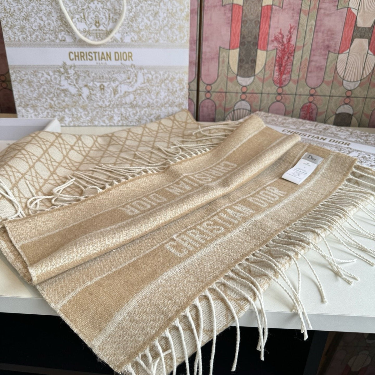 Dior Geometric Fringed Scarf — back